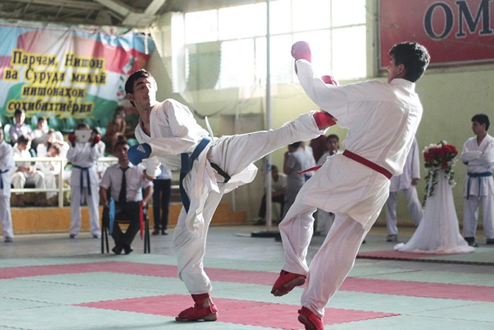 Почти все культивируются в Таджикистане: какие стили используют бойцы Mortal Kombat?