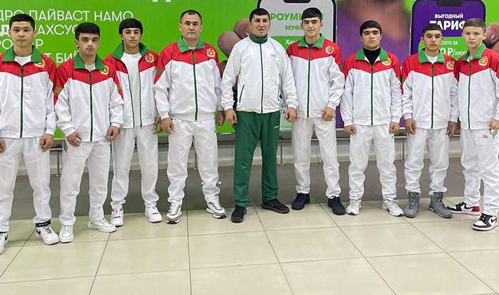 таджикские боксеры