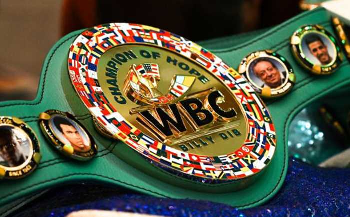 WBC бокс